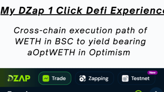 My DZAP cross-chain DeFi experience.