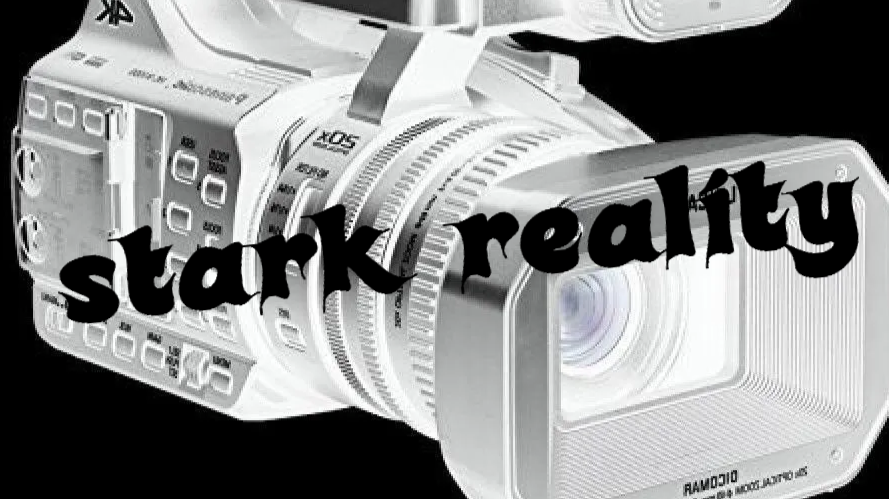 Stark Reality Examples SCREEN PLAY: STARK REALITY
