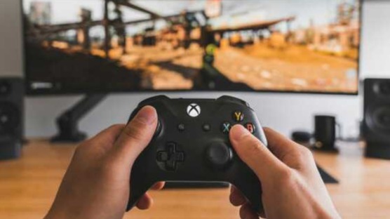 Xbox bugs