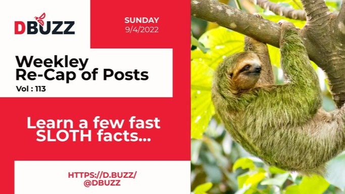 Recap of this Week's Posts by D.Buzz Vol.113