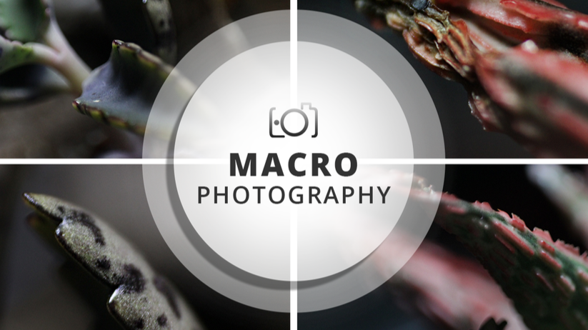 I found in Macro, a place to relax and unwind. Be my guest