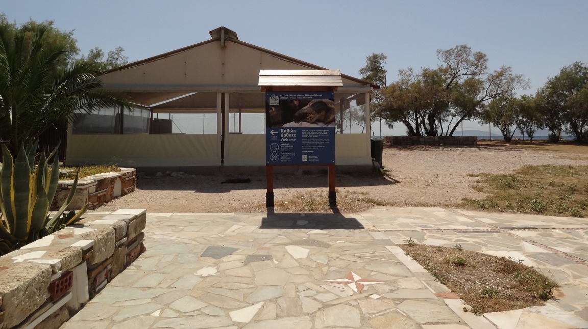 Glyfada - Sea Turtle Rescue Center