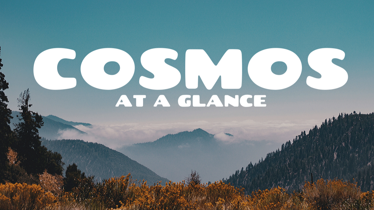 Cosmos (ATOM) at a glance