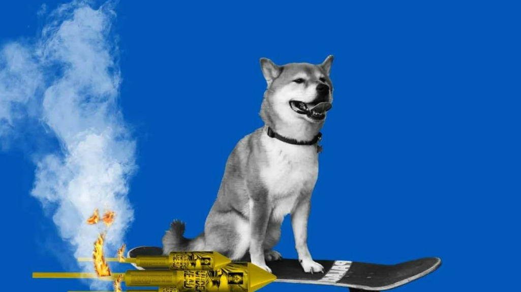 Shiba Inu - DailyCoin