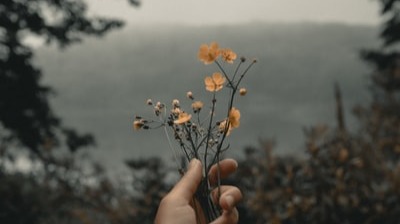 free photo by unsplash.com/@claybanks