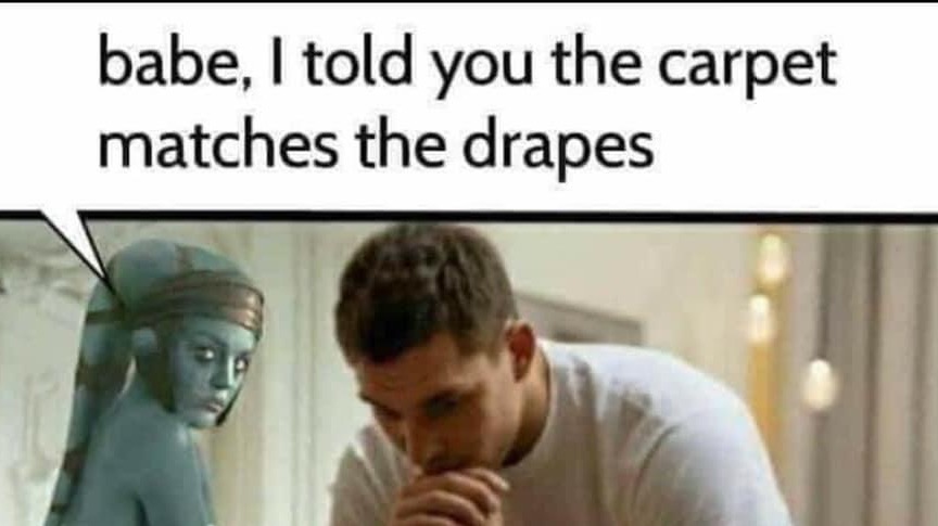 Carpet and drapes