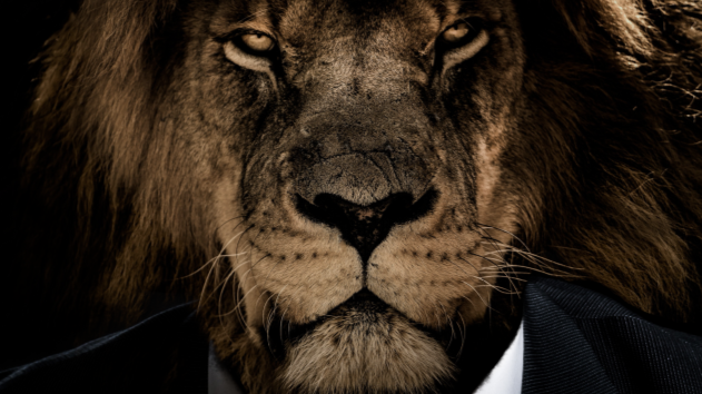 Sophisticated Lion
