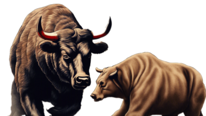 Crypto Today 113