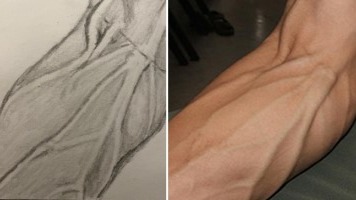 Veiny forearm pencil study compared to reference photograph