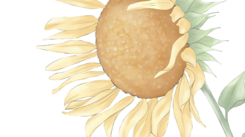 Sunflower Yoga and Wellness Journal Thumbnail