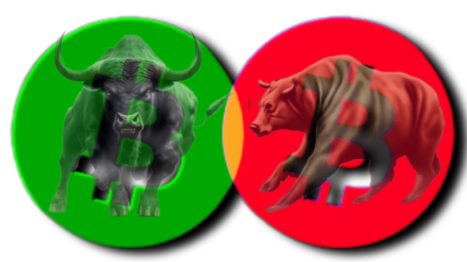 Bitcoin Bull and Bear