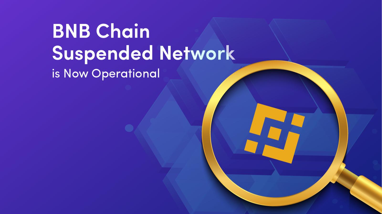 BNB Chain Suspended Network is Now Operational