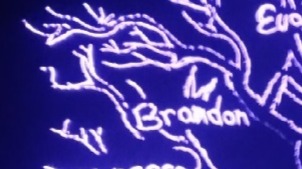 br limb