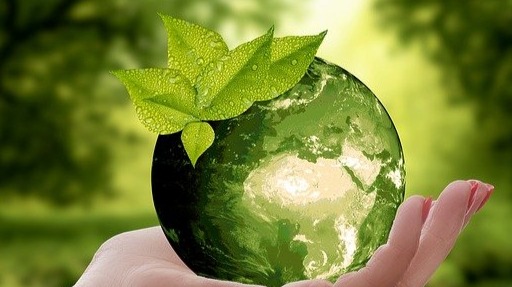 Environmentally friendly lifestyle choices we can make with the products we choose to use daily
