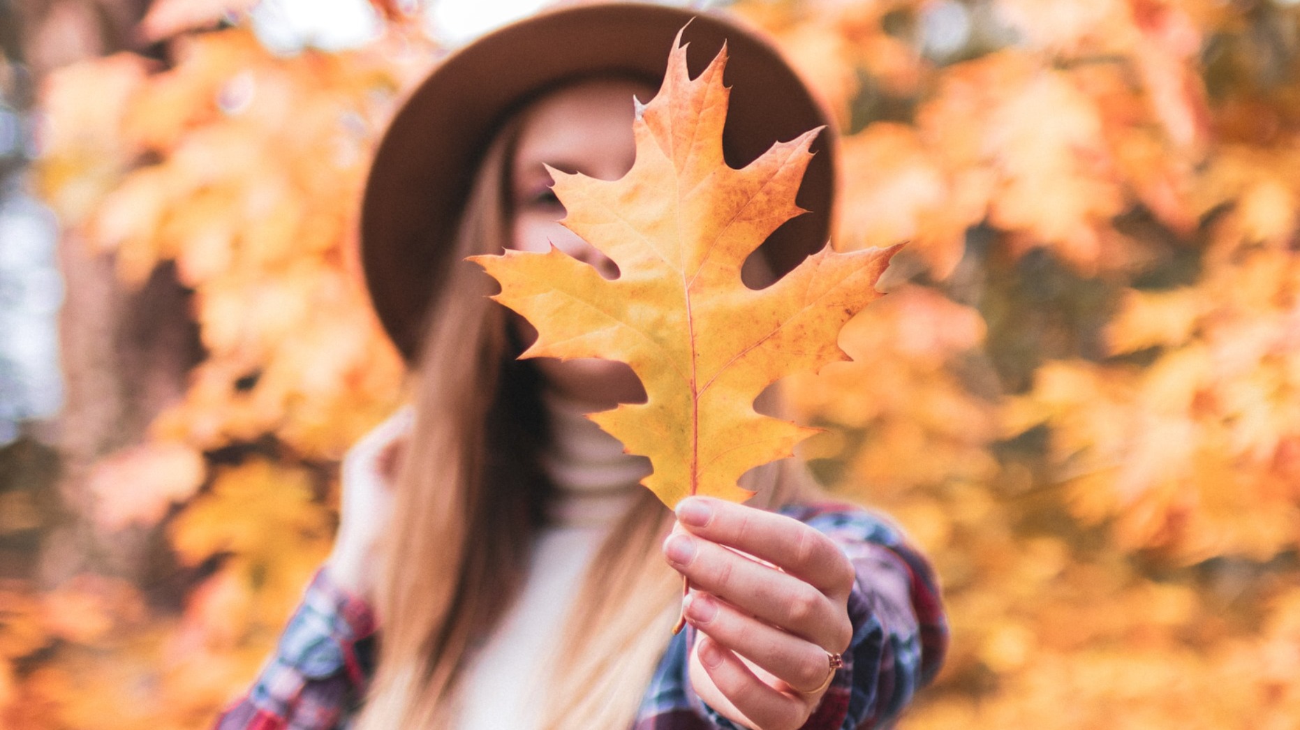 https://unsplash.com/photos/CnF2BhspsDA?utm_source=unsplash&amp;utm_medium=referral&amp;utm_content=creditShareLink
