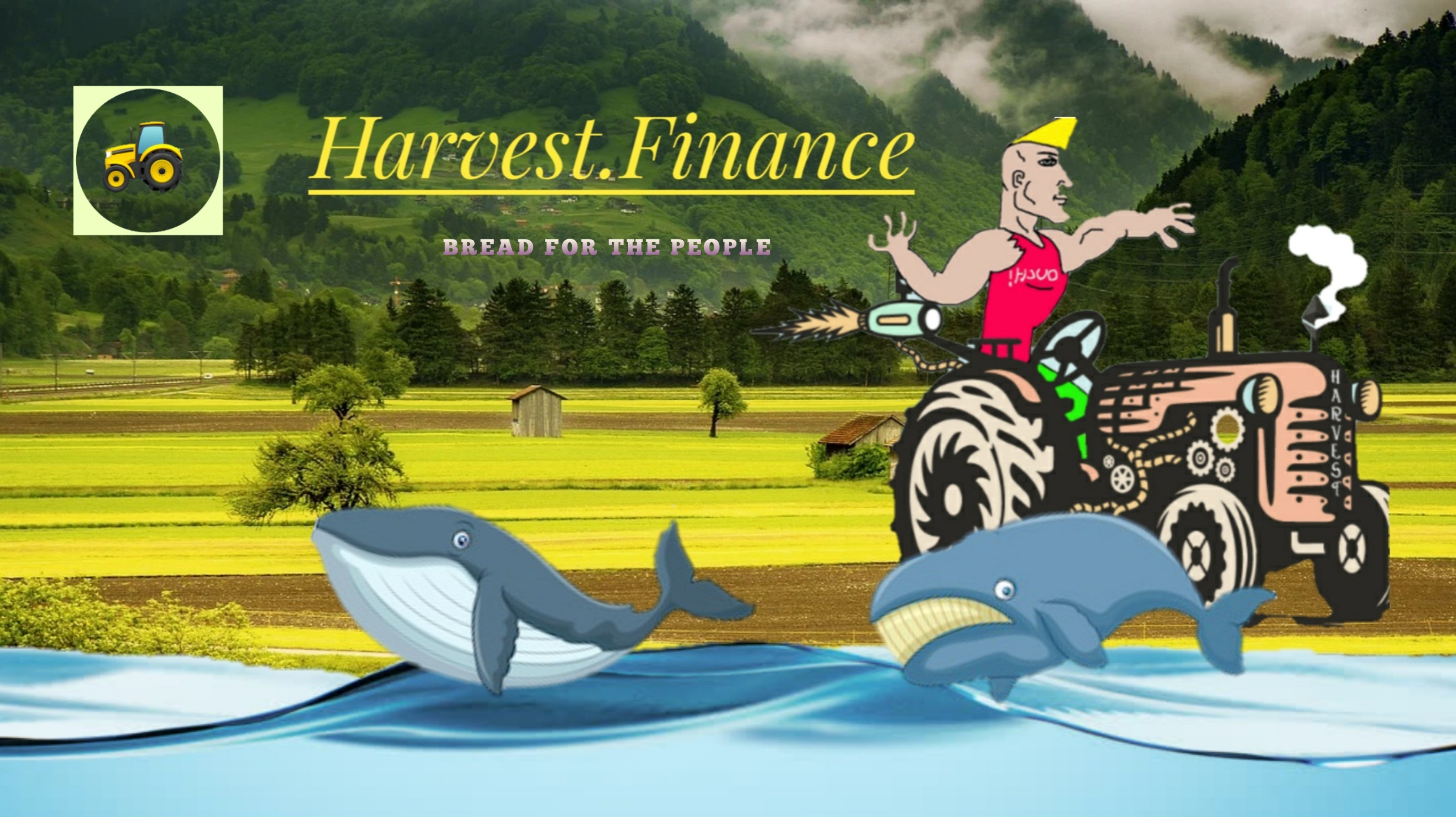 Everything about Harvest.Finance from a beginner's perspective.