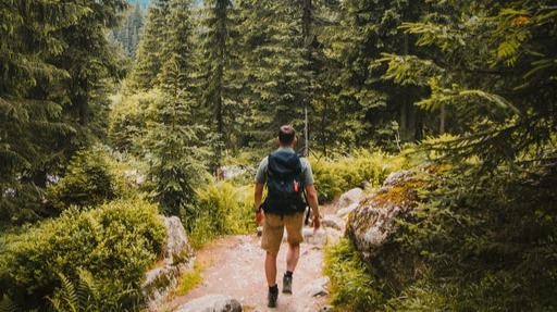 walking nature