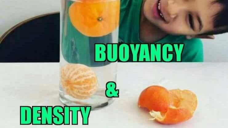 Reality