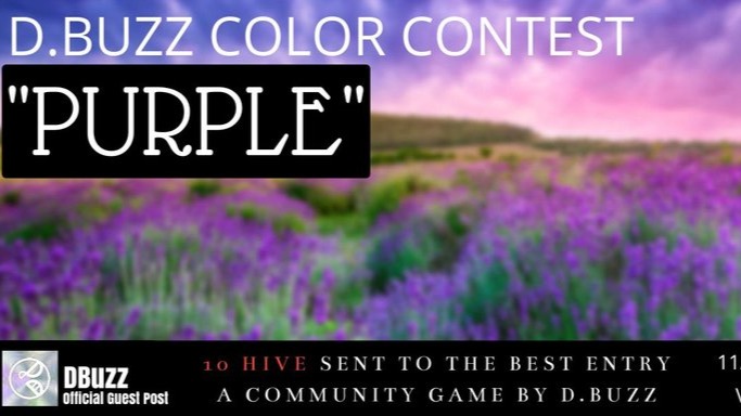D.BUZZ COLOR CONTEST : Round 31/6 : Purple