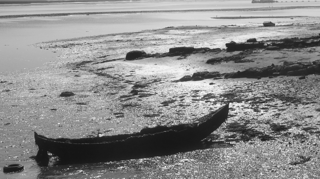 Looks over the river bank | Portugal - Black and White photography