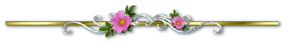 26c39d847d68edb7c0e7c16b1788a32fb3ebebb10dd190e0f9f49be3692cabb3.png