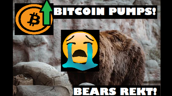 Sad day for noob bears!