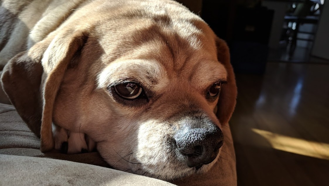 Dover was always in the right light. He was a magnet for sunbeams.