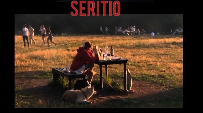 seritio art