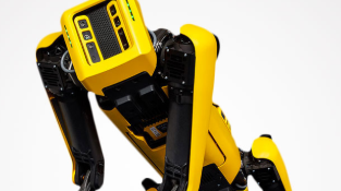 Robot Dogs - Boston Dynamics