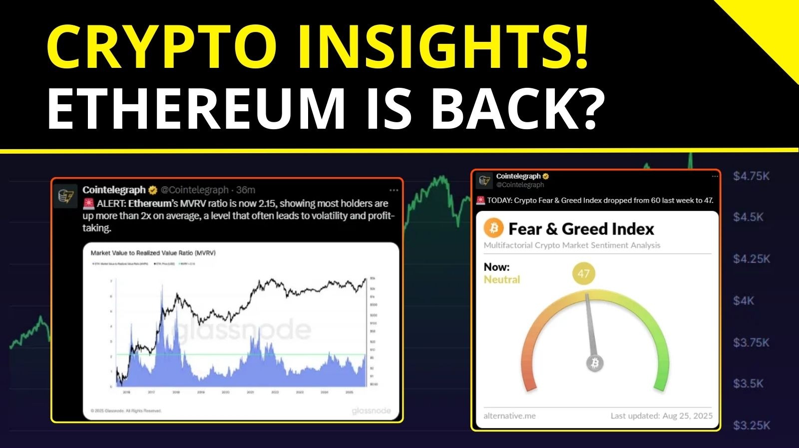 Crypto Insights - ethereum is back?