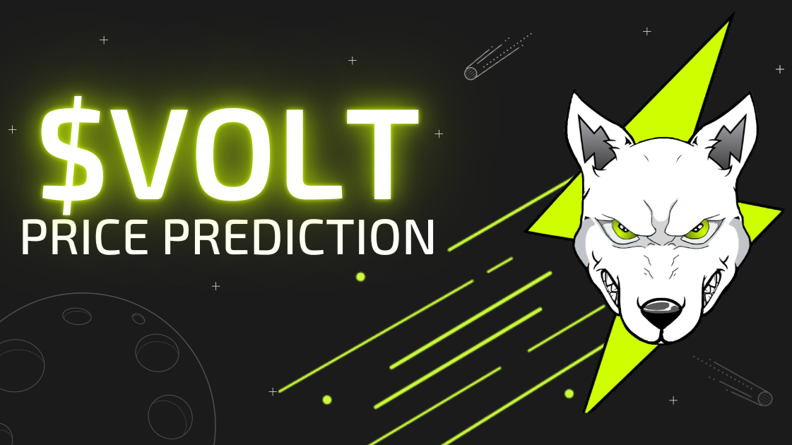 Volt Inu (VOLT) 2022-2040 Perspective