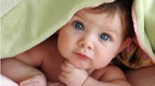 IMAGE SOURCE-Google.