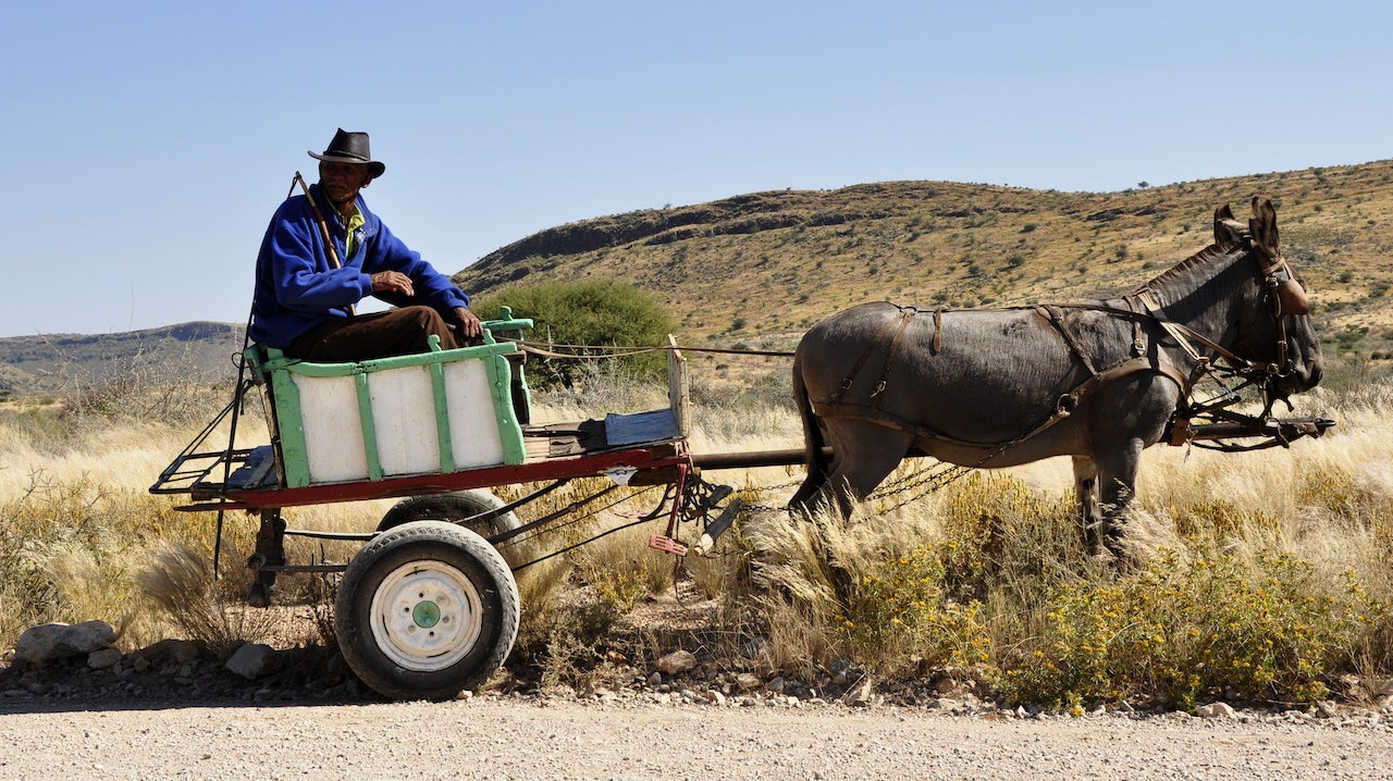 Man riding on a donkey cart