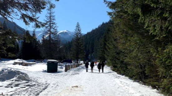 Chochołowska Valley, the Tatras, Poland
