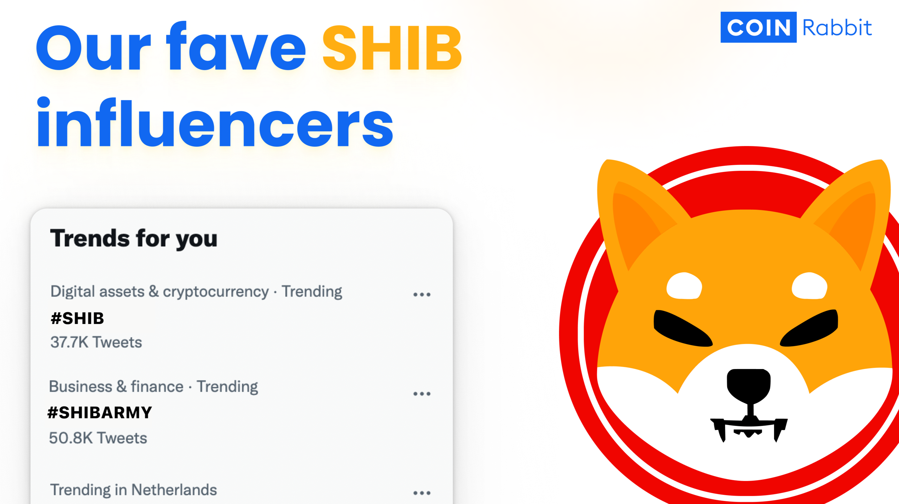 Best Shiba Inu Influencers to Follow in 2023