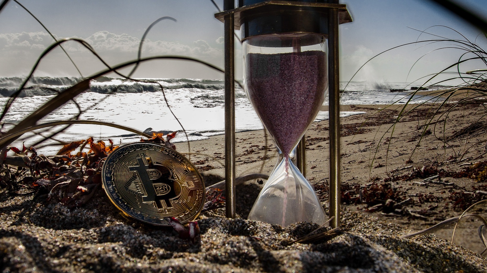 Time is money, money is btc!