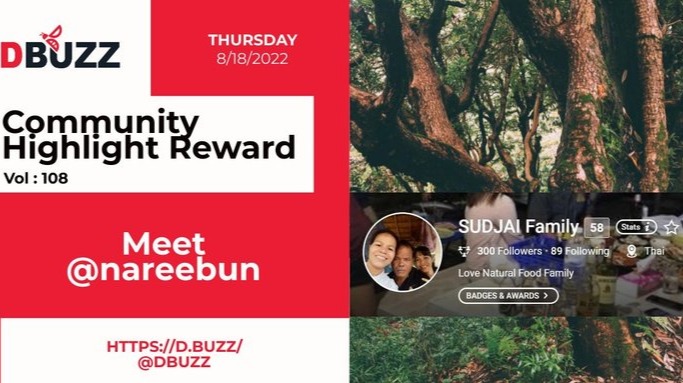 D.Buzz Community Highlight: @nareebun