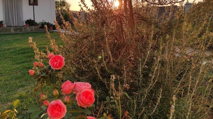 village sunset
