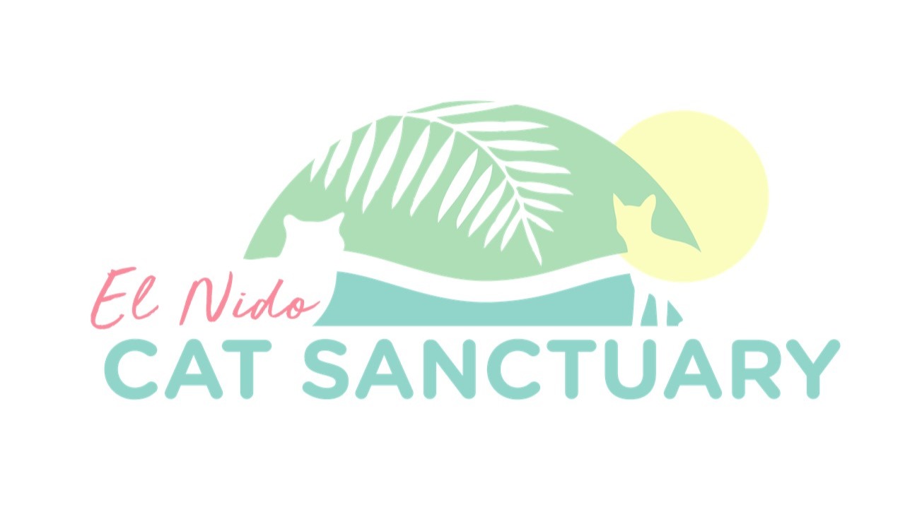 El Nido Cat Sanctuary