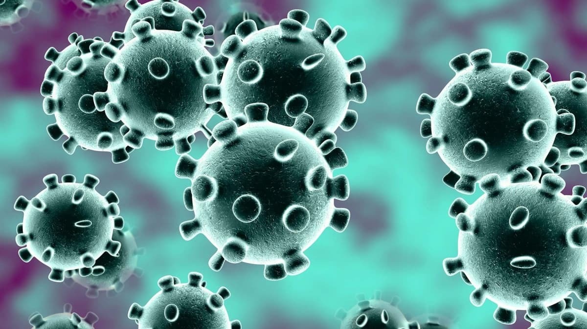 Corana Virus