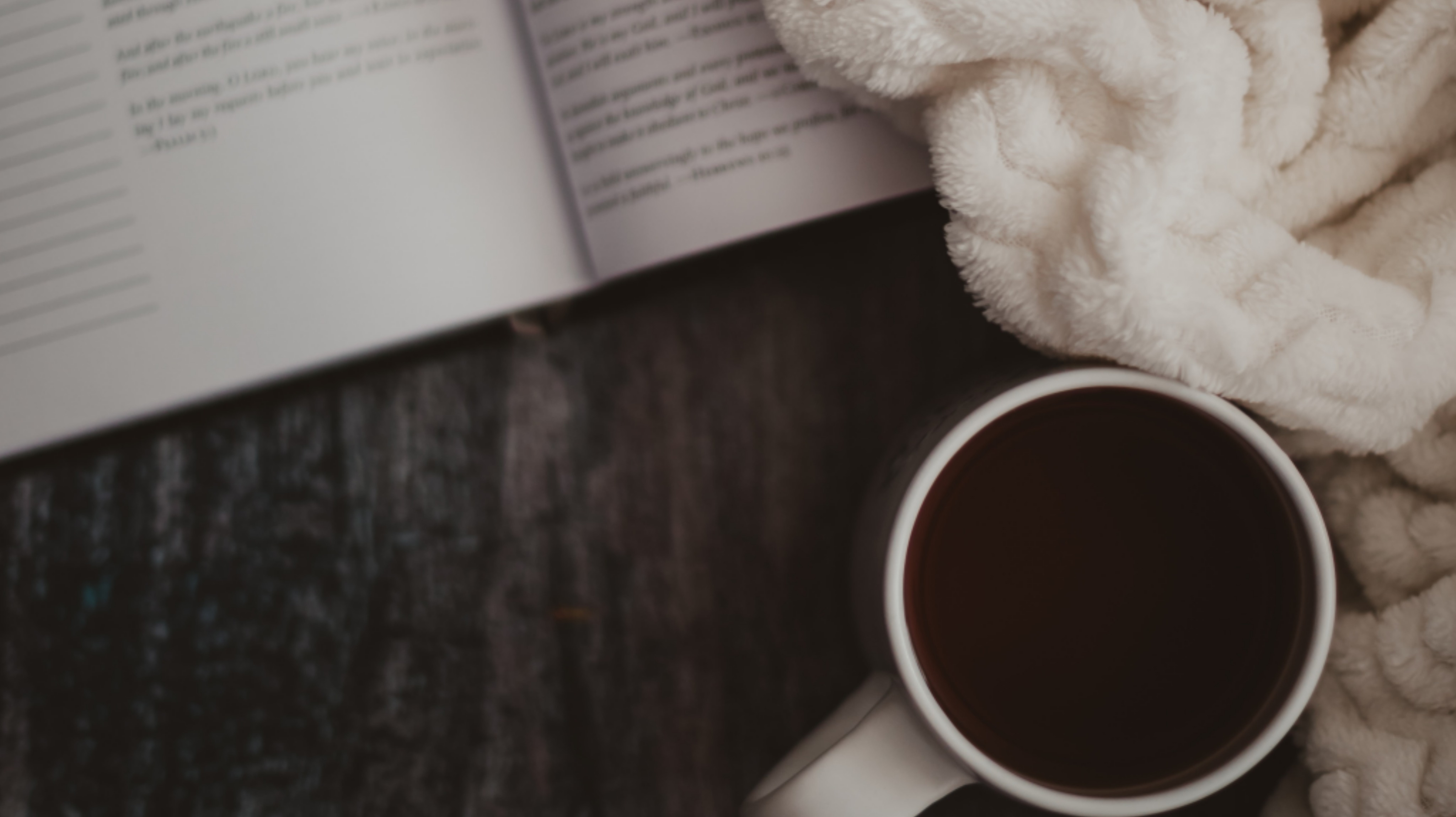 https://unsplash.com/photos/ffVLmZ4Ik_w?utm_source=unsplash&amp;utm_medium=referral&amp;utm_content=creditShareLink