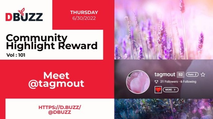 D.Buzz Community Highlight: @tagmout