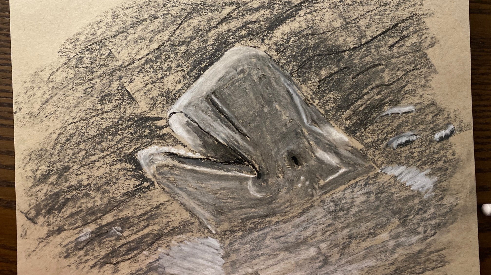 Beluga poking his face out of the water - charcoal and chalk on tan paper
