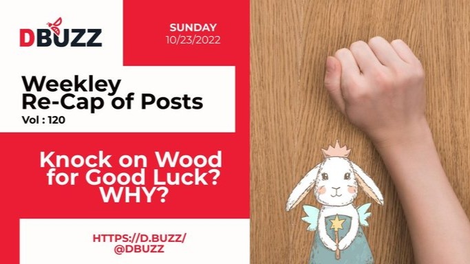 Recap of this Week's Posts by D.Buzz Vol.120