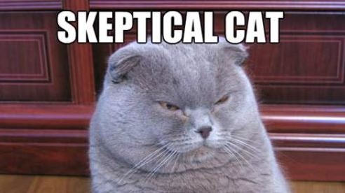 Skeptical Cat is Skeptical.