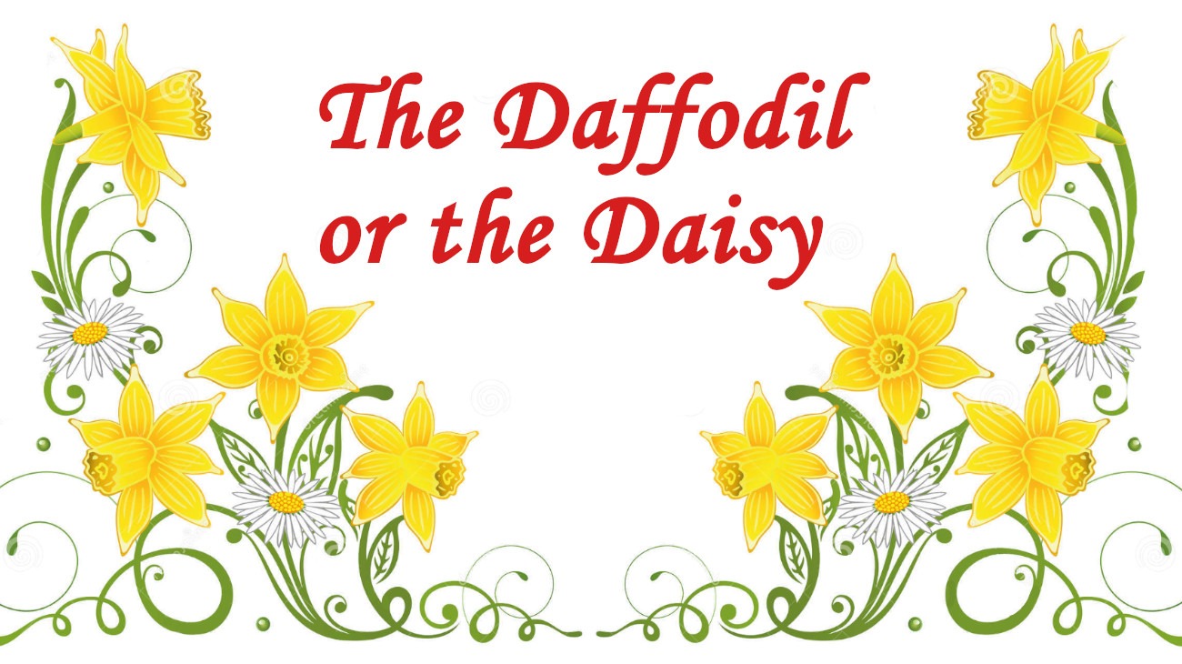 The Daffodil or the Daisy