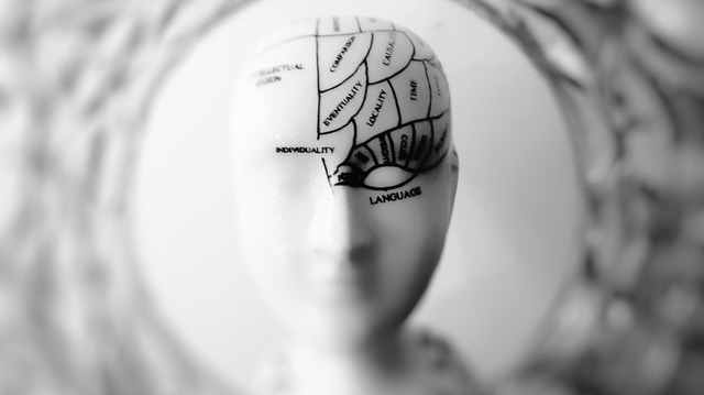 https://www.pexels.com/photo/photo-of-head-bust-print-artwork-724994/
