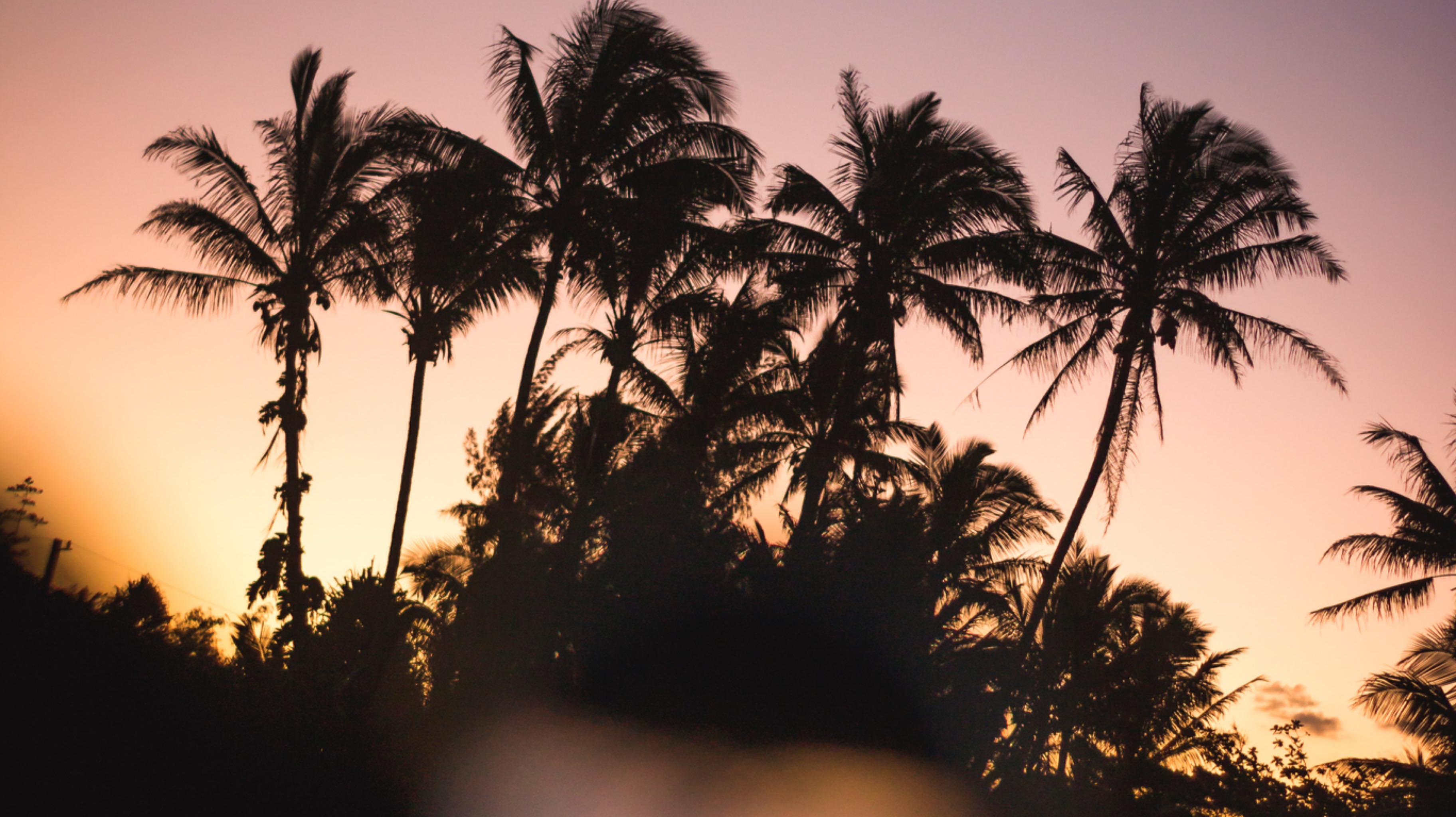 https://unsplash.com/photos/Wggq5Kdkhzk?utm_source=unsplash&amp;utm_medium=referral&amp;utm_content=creditShareLink