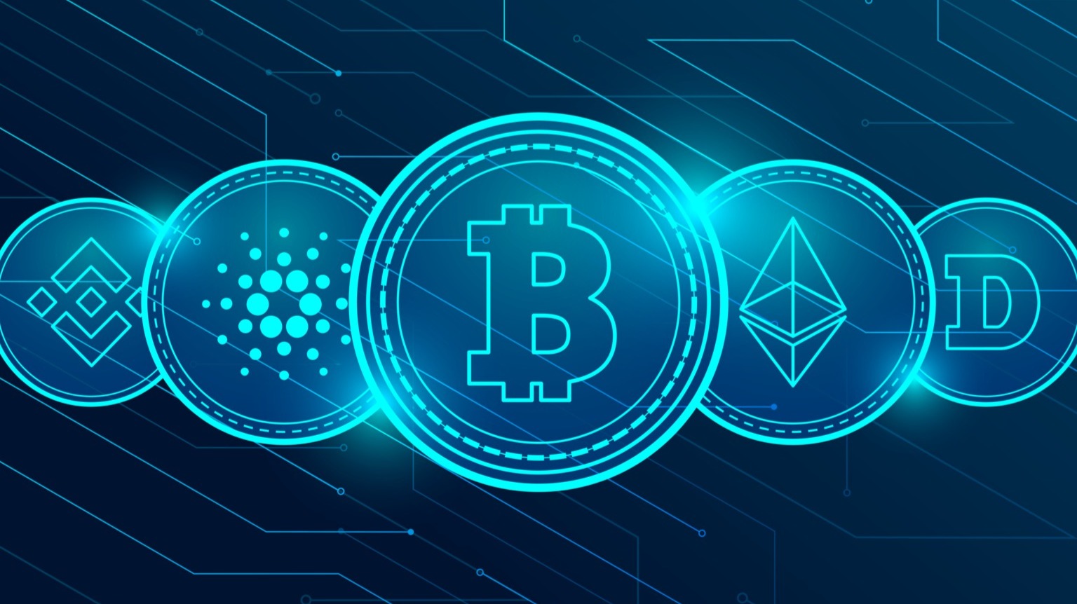 VectorSpace AI Wallet which can help solve your problems