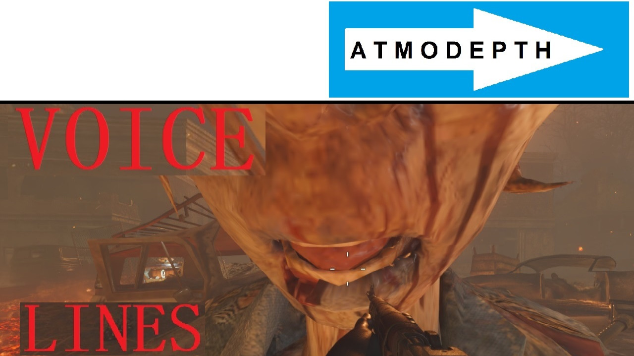 BLACKOPS Zombies But I Do The Voice Lines MYSTORY Nr36